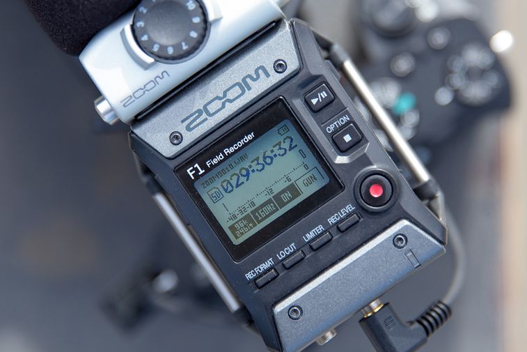 Close-up of F1