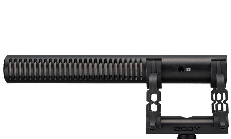 ZSG-1