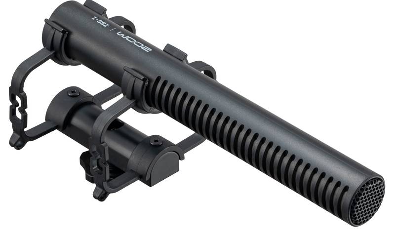 ZSG-1