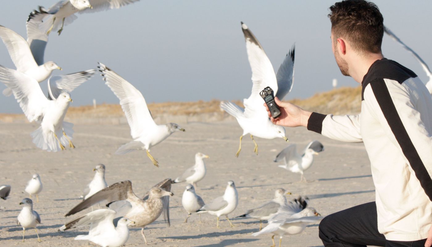 man recording seagulls on the beach