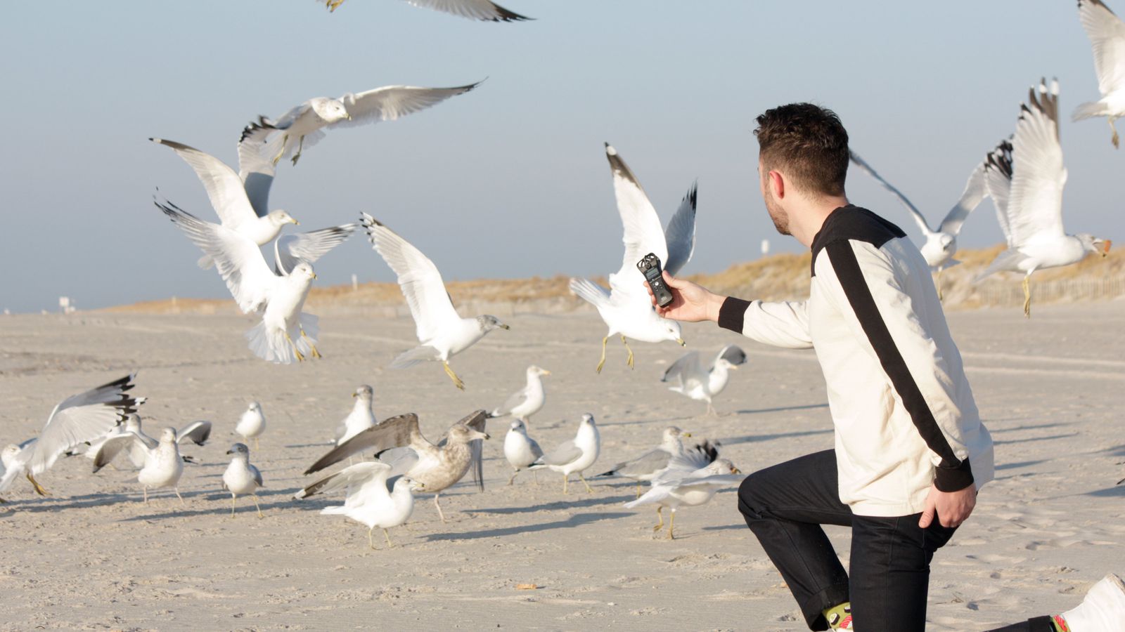 A man frolicking with seagulls recording all the audio on his Zoom H1n