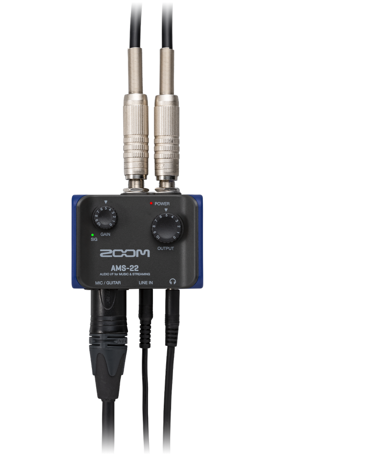 AMS-22 inputs and outputs