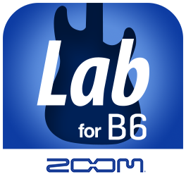 B6