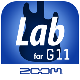 G11