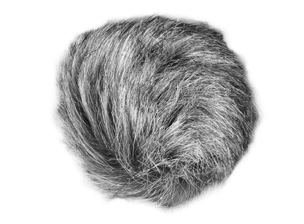 WSU-1