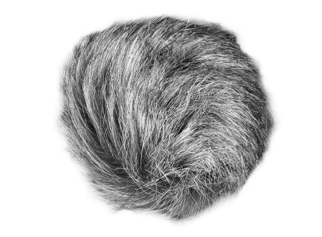 WSU-1